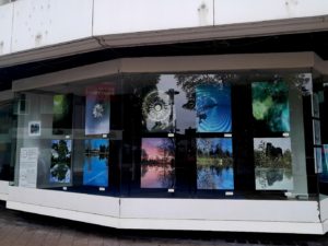 Foto 2